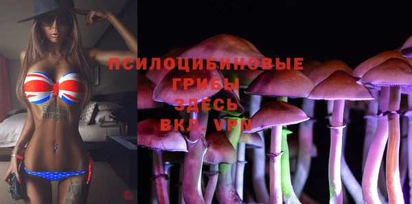 каннабис Алексеевка