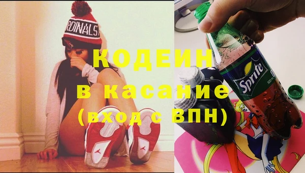 мдпв Пересвет
