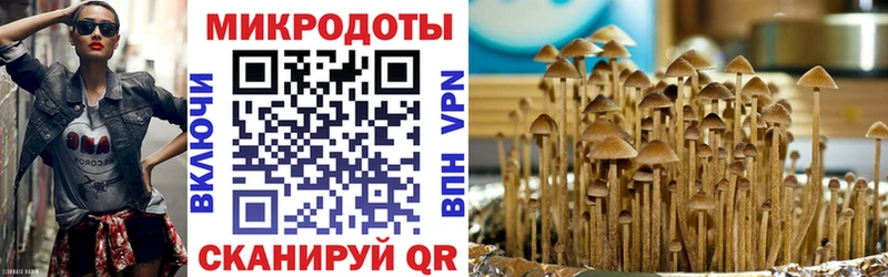 Псилоцибиновые грибы MAGIC MUSHROOMS  закладки  Всеволожск 