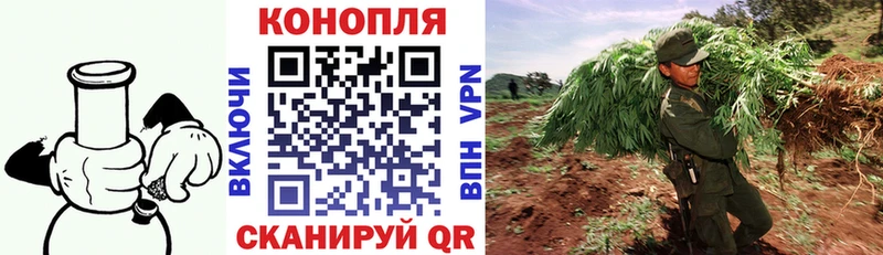 как найти наркотики  Всеволожск  Канабис тримм 